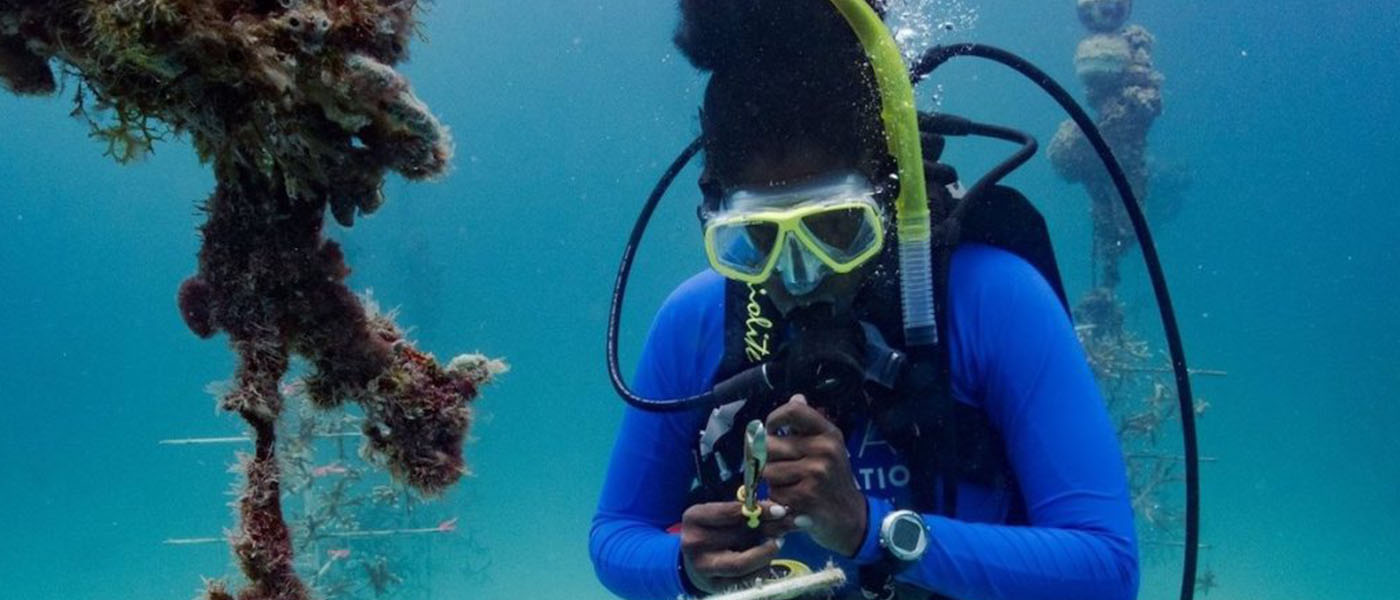 Certified diver Andrea R. Williams, national vice president of the National Association of Black Scuba Divers (NABS), hangs coral reef fragments during a dive with the Coral Restoration Foundation Nursery in July 2019 in Key Largo, Fla. (Courtesy of Patti Kirk Gross)