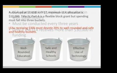 Every Student Succeeds ACT (ESSA), Title IV Provisions