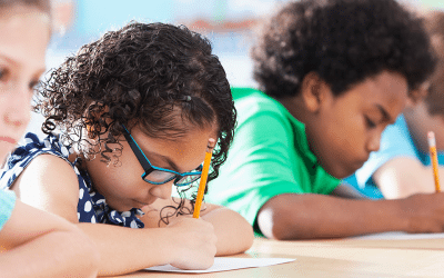 NY State Education Department Releases Draft Every Student Succeeds Act Plan for Public Comment