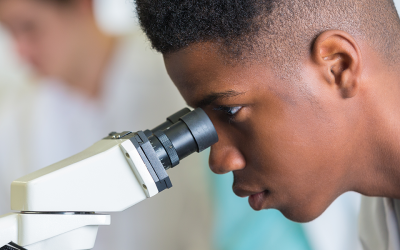 West Virginia Department of Education to Host Additional Public Stakeholder Meetings on State ESSA Plan