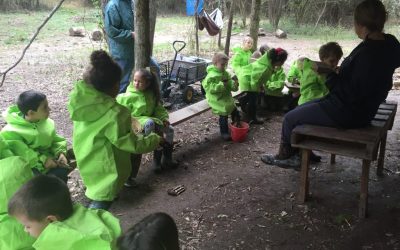 GEORGIA: The Path Begins: Forest Kindergarten