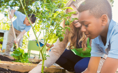 No Food, Paper, or Pencils Left Behind