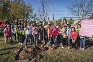 JPMorgan Chase teams up with National Cherry Blossom Festival to plant trees in Washington’s Ward 8