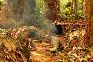 Loggers, conservation groups have turned Pygmy tribe into alcoholics, says study