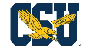 Navy & Gold both earn wins in opening games of Coppin State Baseball fall series