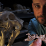 The Saber-Tooth Predator That Lived Millions Of Years Before Cats