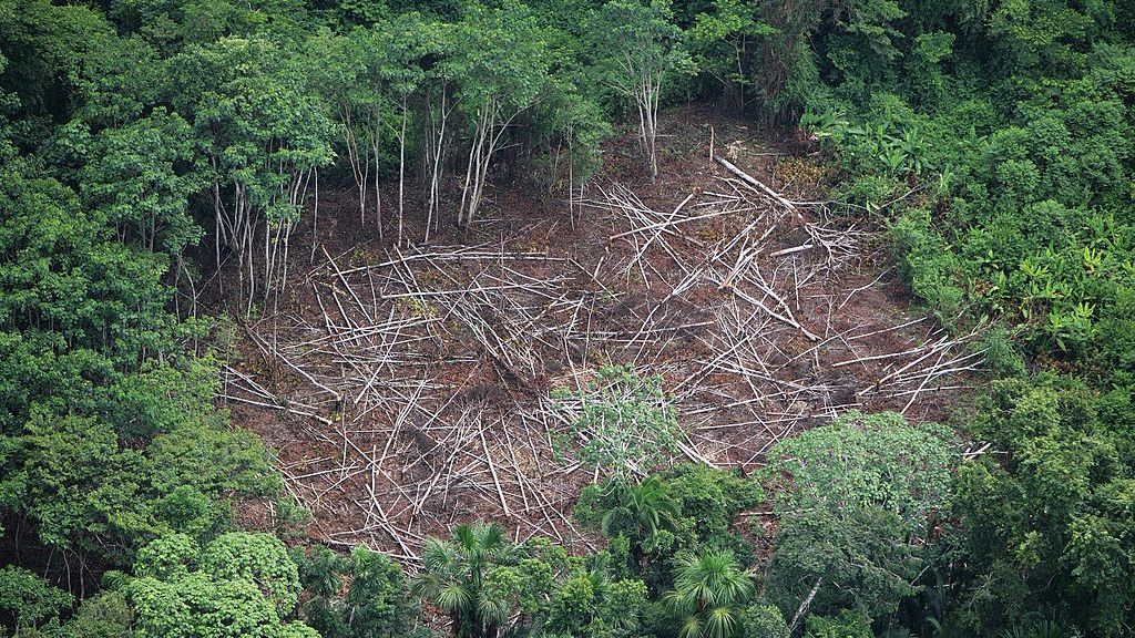 Aerial view of the Northern Amazon on June 11, 2007, in Peru. The pristine forest has borne the impact of roads into the forest and roadside urbanization. The Amazon is under threat from infrastructure development in Peru. (Brent Stirton/Getty Images)