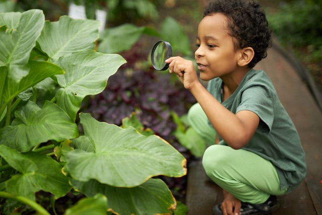 Celebrating Earth Day, Calif. Leaders Focus on Water and Pollution