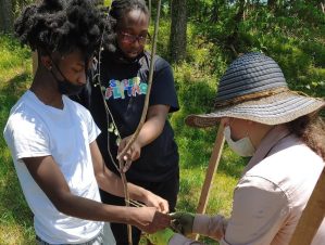 Baltimore church rehabilitates dying forest with lots of help