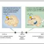 Brain Can Block Unwanted Memories And Sounds Alarm If One Slips Through Net