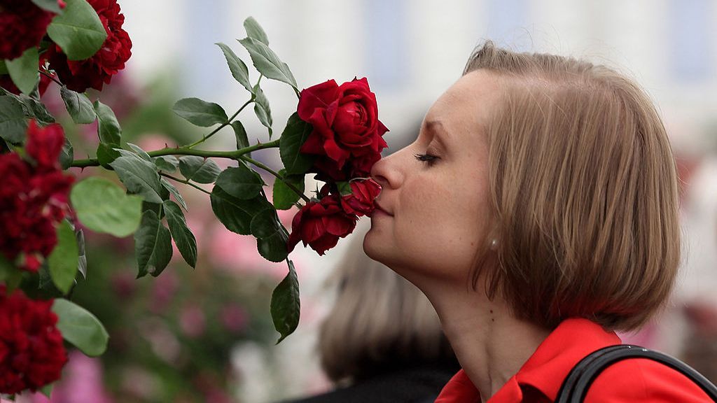 A woman smells a flower in the rose garden at the annual Chelsea flower show on May 25, 2010, in London, England. Researchers are trying to bring back smells from the days of old to uncover new insights about past societies. (Dan Kitwood/Getty Images)