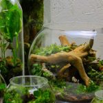 World In A Bottle: Creative British Man Makes Beautiful Self Contained Sealed Glass Ecosystems