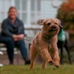 VIDEO:  Having A Four-Legged Friend Improves Quality Of Life, According To Report