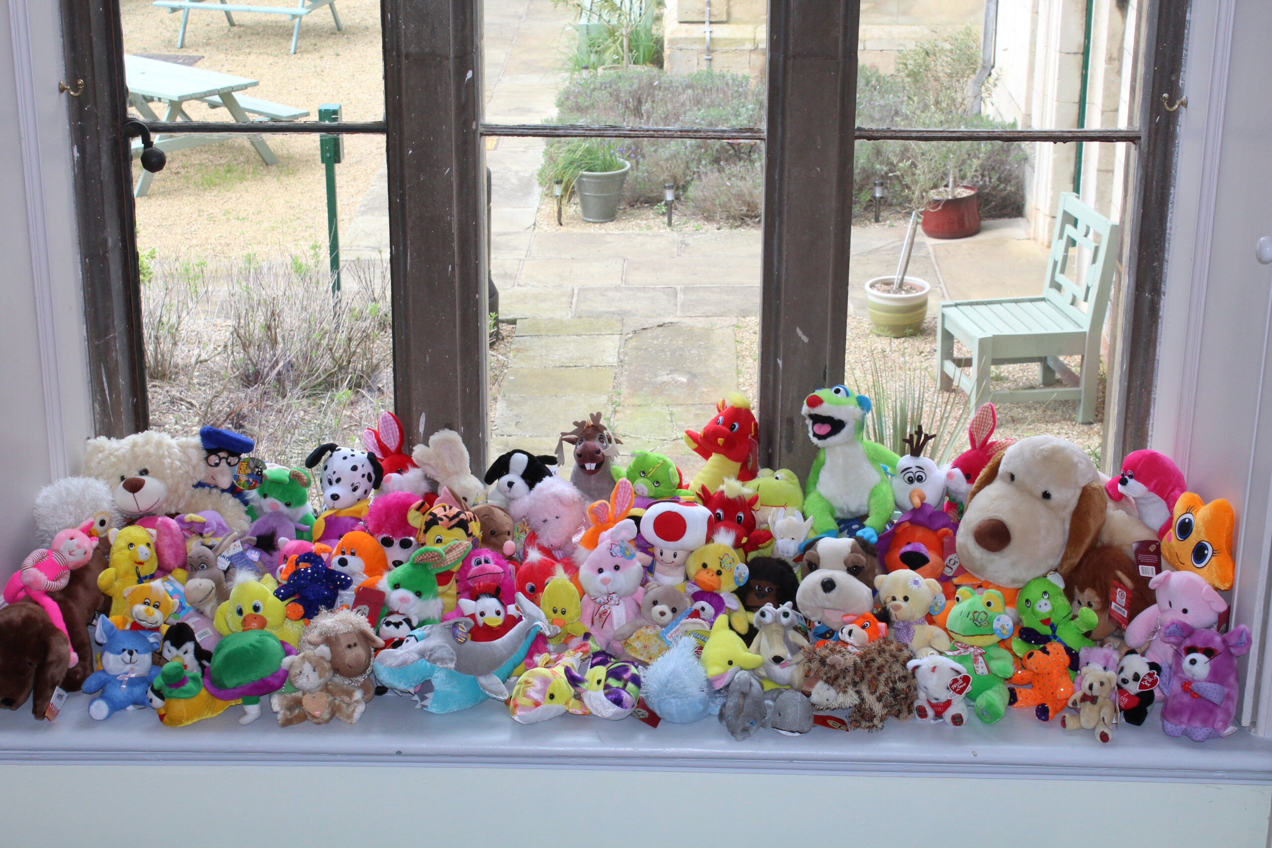 An OAP couple have revealed their haul of 375 cuddly toys won at seaside arcades - and now have too many to fit in their home. (Matthew Newby/Zenger)