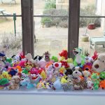 Furry Friends: OAP Pair Won 375 Cuddly Toys And Now Have No Space For Them At Home