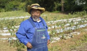 Food deserts are deliberate, but Black farmers are fighting back