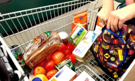 ‘Untax our food’: Alabama could renew focus on grocery tax as food prices soar