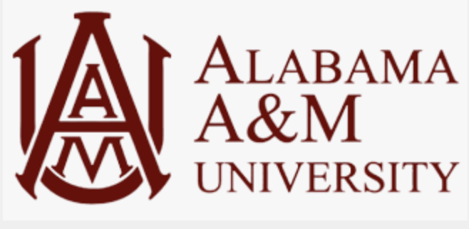 AAMU to Host Cluster Connection for Partners