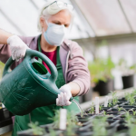 Botanical Gardens to host Fall Plant Sale on Sept. 10