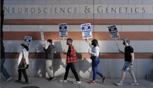 UC Academics Picket in the Largest Strike of the Year