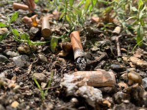 City of Baltimore battles cigarette manufacturers in first-of-its-kind lawsuit for million-dollar cleanup costs associated with toxic cigarette litter