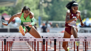 Annual Mt. SAC Invitational Relays at Hilmer Lodge