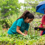 Birmingham City Council Approves $805,000 To Expand Teaching Farm Programs for City Students