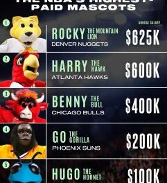 Salary for top NBA mascot allegedly more than double that of leading WNBA player