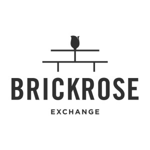 BrickRose Exchange working to introduce Baltimore businesses to the metaverse