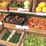 City Council Transfers $300K for Grant to Increase Healthy Food Options