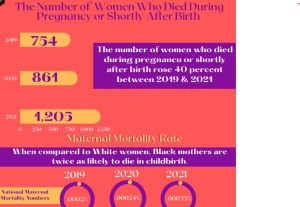 Maternal mortality rate