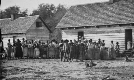 Florida Decides to Teach That Our Ancestors Benefitted From Being Enslaved