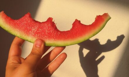 The truth about watermelon: a look at the most controversial fruit in the Black community