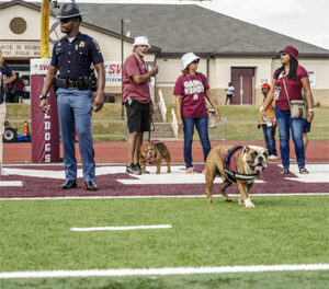 CELEBRITY BULLDOGS JOIN BUTCH’S COURT