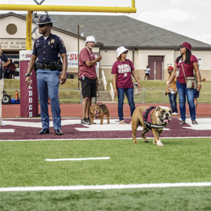 CELEBRITY BULLDOGS JOIN BUTCH’S COURT