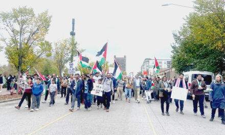 Hundreds march in Birmingham to support Palestine: ‘We just want safety’