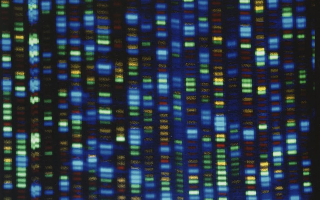 People of African ancestry are poorly represented in genetic studies– a new effort would change that