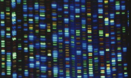 People of African ancestry are poorly represented in genetic studies– a new effort would change that