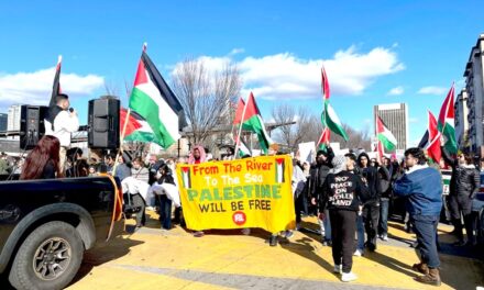 Hundreds rally in support of Palestinians at Railroad Park in Birmingham