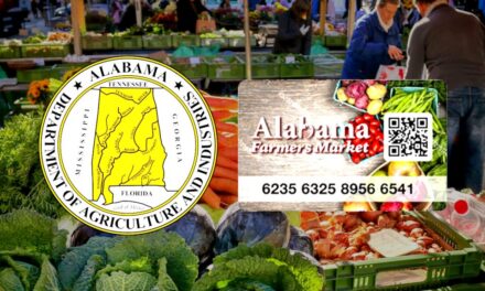 Alabama seniors can receive $50 to buy fruits, vegetables at farmers markets