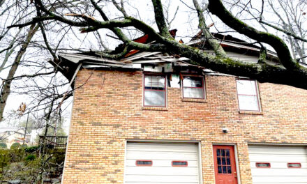 Alabama severe weather: Downed tree hits 2 Huntsville houses, 1 injured