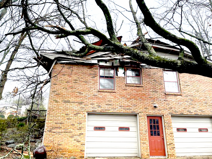 Alabama severe weather: Downed tree hits 2 Huntsville houses, 1 injured