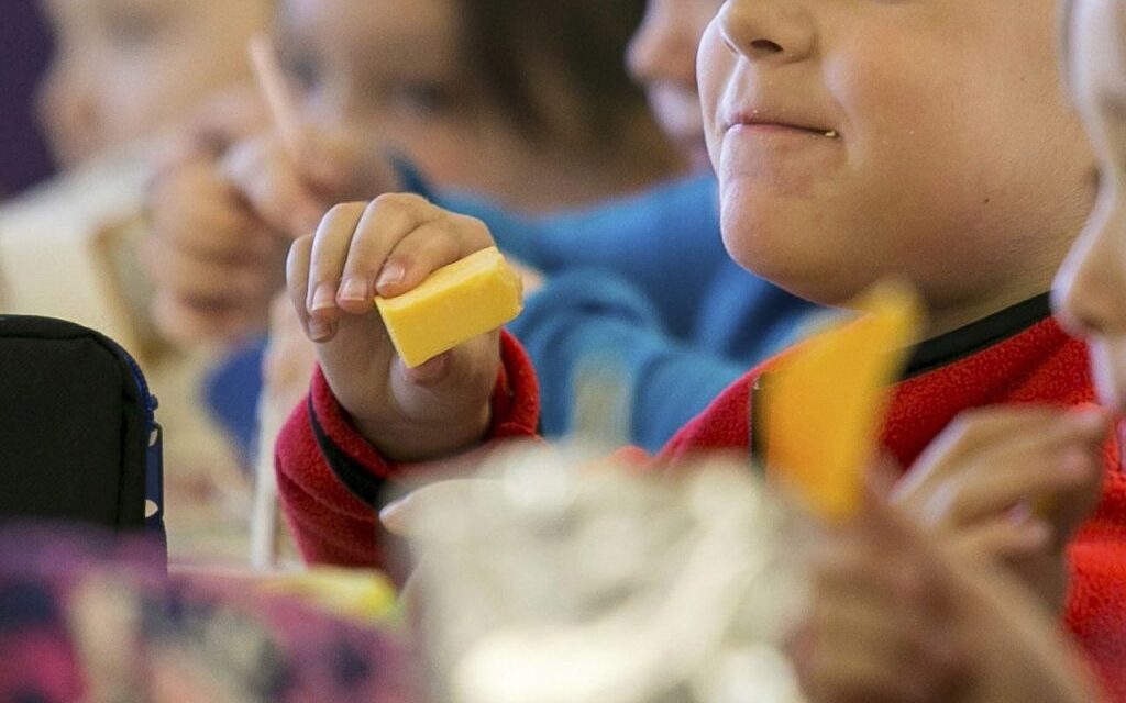 Why did Alabama and 13 other states turn down federal money to feed kids this summer?