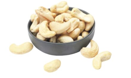 Trader Joe’s cashews recalled in Alabama, Texas, and 14 other states due to salmonella risk