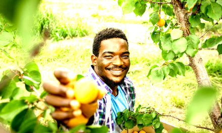 THE FARM NEAR AAMU WILL ADDRESS FOOD INSECURITY AND STRENGTHEN RESEARCH