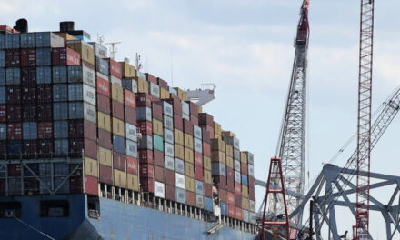 Authorities remove 34 containers from Dali cargo ship as temporary channels see sparse commercial activity 