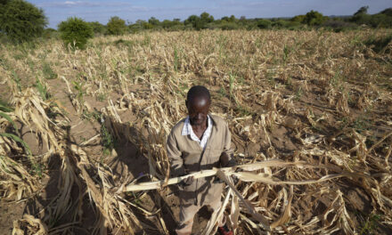 Extreme drought in southern Africa leaves millions hungry