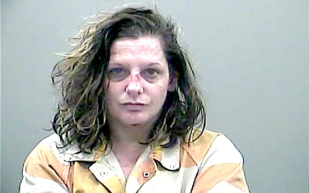 Alabama woman to stand trial after son died in car while she was allegedly ‘dumpster diving’