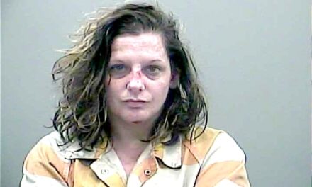 Alabama woman to stand trial after son died in car while she was allegedly ‘dumpster diving’