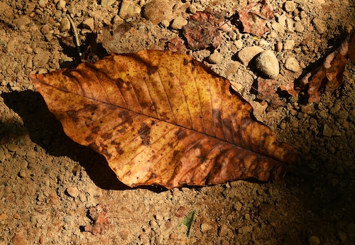 Hurricane Creek Park